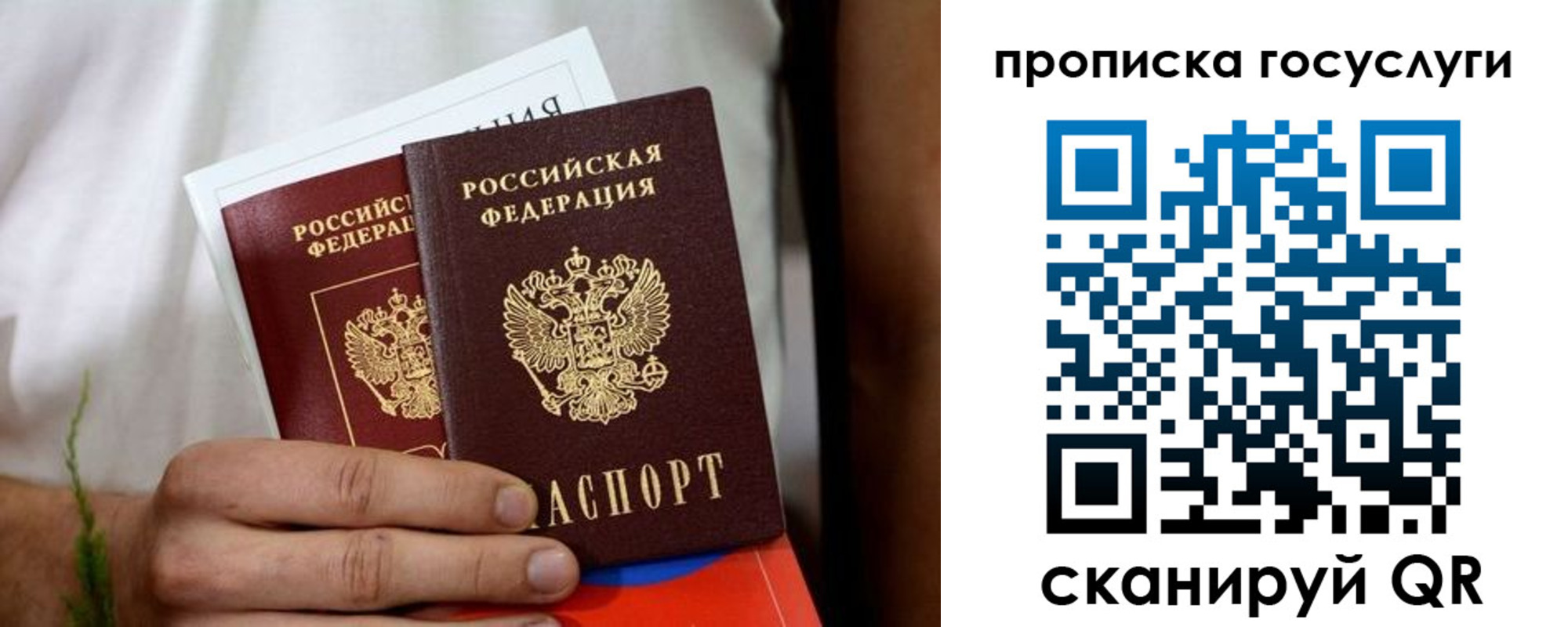 прописка от собственника в Михайловке